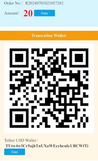 Step 4: Open your cryptocurrency wallet and make a USDT transfer via the QR code or wallet address.