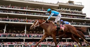 Introduction to Horse Racing Betting